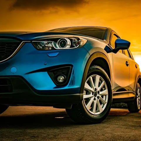 RASTREADORES DE CARROS